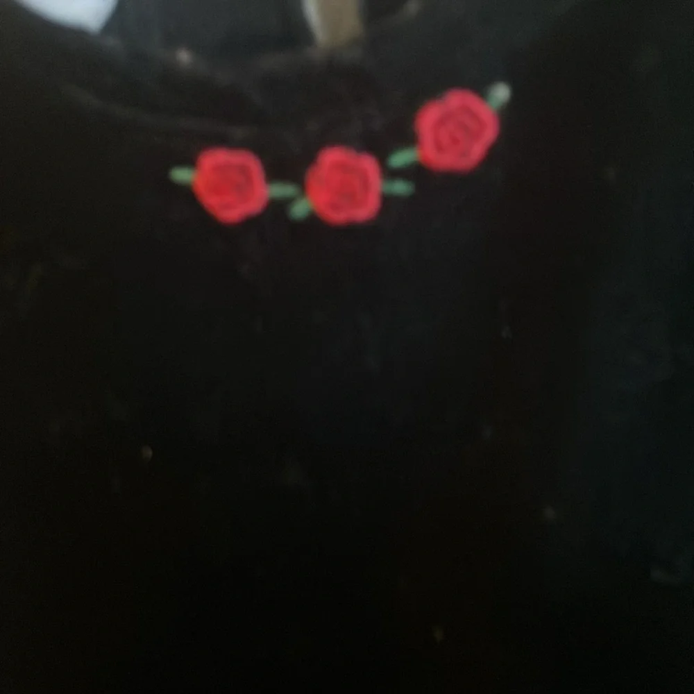 FINAL MARKDOWN Blueberi boulevard Elegant Black Velvet Kids Dress Red Accents 3t